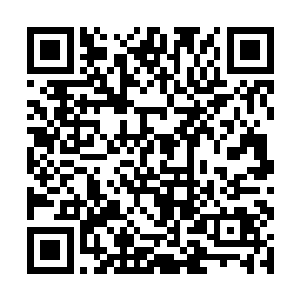 禁猎团今日真的要葬送在这异界的屠刀之下了么……二维码生成