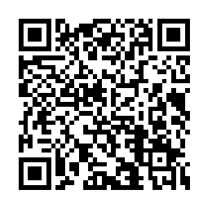 福斯特公司董事会已经否决了和我们的合作计划二维码生成