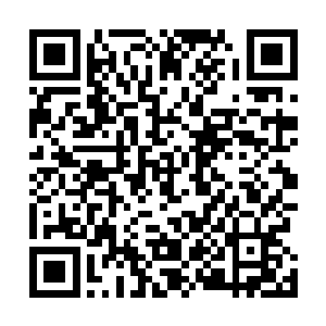 福特在随手摘取了几片树叶全部朝着塔尔的身子掷了过去二维码生成