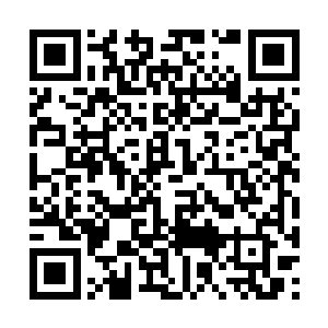 福金离开了崭新一天在荣耀至死找到了自己的未来二维码生成