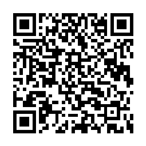 福金第一个就跳起来朝雨果离开的方向冲了过去二维码生成