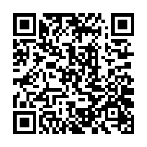 禹欢听着黎未未说着贝海身上的忧点眼睛是越睁越大二维码生成