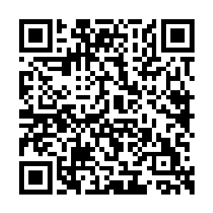 禹王堂堂的灵界五帝居然会如此注意他这个小子二维码生成