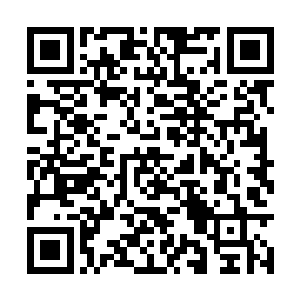 禺狨王的脸上也顿时浮现出了难以置信的惊恐之色二维码生成