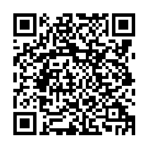 离天界主对我和铜棺之间的事情了解得也算是比较清楚二维码生成