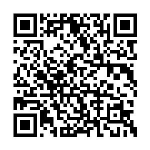 离天界主的宇宙雏形现在正处于发展的高速时期二维码生成