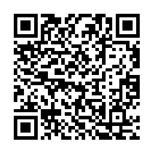 离山剑宗某位剑堂长老在雪原上的一次战斗里负责断后二维码生成