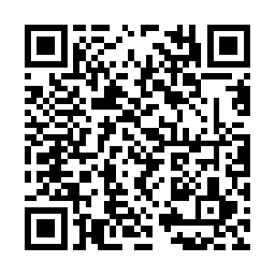 离开奥比斯帝国的陈凌并没有急着前往下一个世界二维码生成