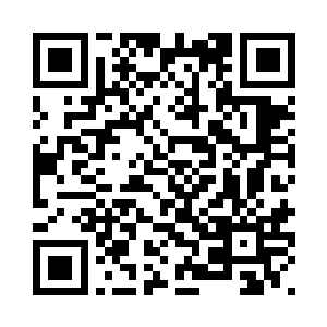 离开家这么久但是感动却从未停止二维码生成