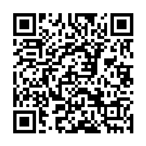 离火阵中刚才一直嘿嘿冷笑的赤炎老祖已经没声了……二维码生成