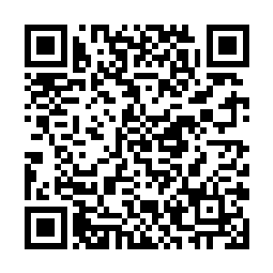 离着老远就看到金珍站在府门口不停地往他这边张望二维码生成