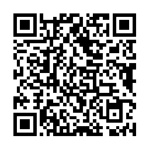 离空数百丈下的苍茫大地犹如翻江倒海一般狂暴撕裂二维码生成