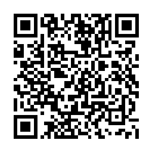 离窝在客厅的沙发上边看电视边削苹果吃的时候二维码生成