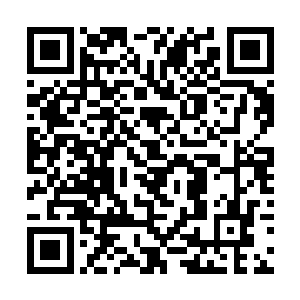 离金光城最近的抱虎城的港口有不少出海打渔的船只二维码生成