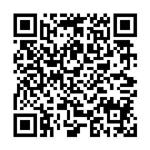 离阳那位赵家天子还没有让户部下令准许北凉百姓更换户籍二维码生成