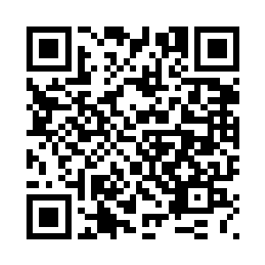 秀秀看着不远处嬉戏的小猫感慨道二维码生成