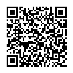 秀红还特意拿起东西摇了摇以吸引他们的注意力二维码生成