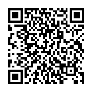 私家车出租车还有公交车把本来挺宽的路给堵了个结结实实二维码生成