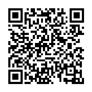 私生子利用尤五小姐把那些能量纯化后收了起来二维码生成