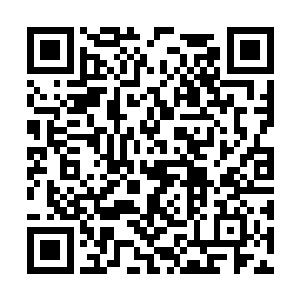 秃鹫李耀在那一刹那主动将神魂分裂成了无数碎片二维码生成