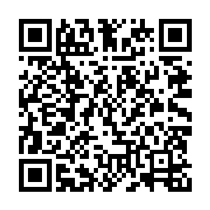 秋卫肯定会将夏天这个威胁告诉其他的贺运九仙二维码生成