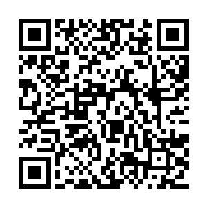 秋叶村的埃列说他卖戒指的那个行商是往东去的二维码生成