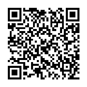 秋意瑟看了看时间也差不多是时候可以准备吃饭了二维码生成