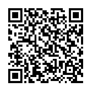 秋意瑟知道自己每一次来到人界需要付出的代价是什么二维码生成