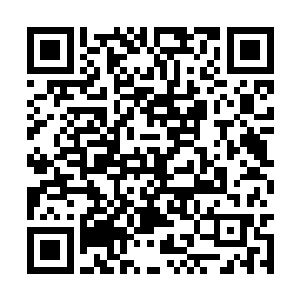 秋松仙人看着那童子仿佛看自己子侄辈的慈爱眼神二维码生成