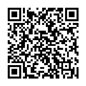 种什么菜主要还是看县府里边几个领导自个儿的胃口二维码生成