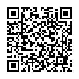 种家军统治时在这片土地上维持了数十年的生机和秩序二维码生成