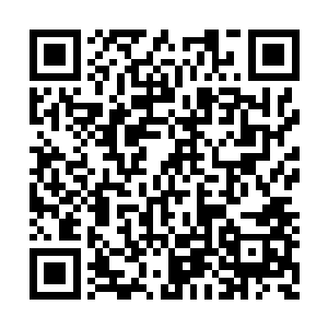 种族传承出适合自己种族天赋的职业再正常不过二维码生成