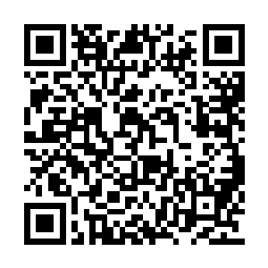 种植炼制仙元丹灵草的技巧他已经摸的差不多了二维码生成