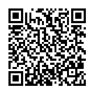 种种因素汇集在一起都是对我们掌控六道有利的二维码生成