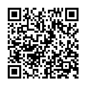 种种迹象表明千夜已经牢牢压制住了摩萨尔狼人二维码生成