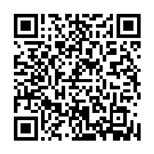 种苗上有成群苹果大的金色蜜蜂巡视发现虫类气息吸引虫子二维码生成