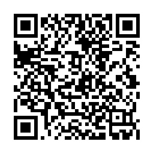 科学家们为什么偏爱用微生物作为主要研究目标二维码生成