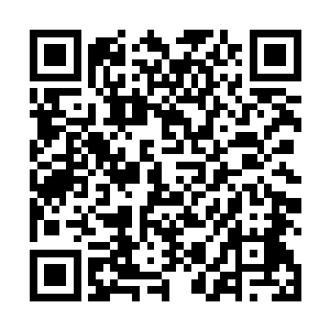 科技文明却依旧在和修真文明紧密的联合在一起发展着二维码生成