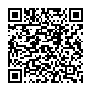 科林上尉有些莫名其妙的揉了揉自己那狮毛一样的脑袋二维码生成