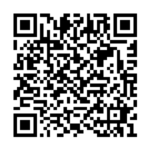 科林俨然已经成为了默多克最为信任的一员大将二维码生成