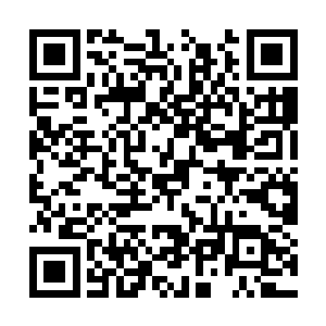 科莫音血脉和霍拉尔黑蛇血脉也有很大的实力差距二维码生成