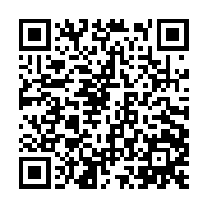 秘社小头目一把抓住他的衣服把他摁在一旁的树上二维码生成