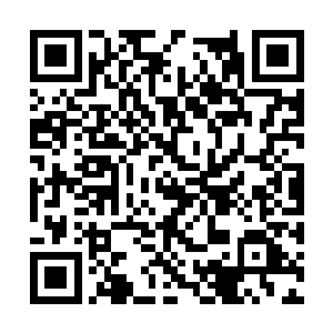 秘社的军事顾问鲍威尔和叛军头目吃惊地相互看着二维码生成