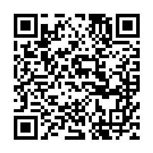 秦中林只觉得自己好像被一头来自洪荒的猛兽给盯住了一般二维码生成