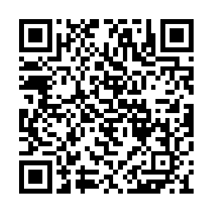 秦兄弟你要是从祖船出来之后就直接去四十二区二维码生成