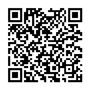 秦双双的脑海中忍不住想到了先前原野秘境的事情二维码生成