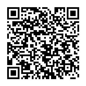 秦双双瞪圆了眼睛看着这些如潮水一般往外面涌的青山书院的弟子二维码生成