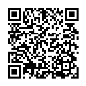 秦发等人的内心却是……苏落所谓的从南区带回来的东西二维码生成