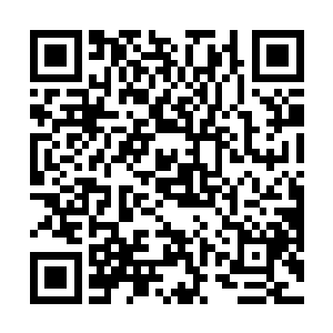 秦大哥若担心我等兄弟是为了与朝廷的私怨拉诸位下水二维码生成
