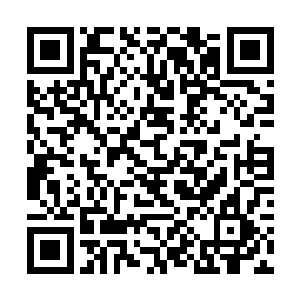 秦天那个老家伙表面上摆出了一副与天同庆的模样来二维码生成